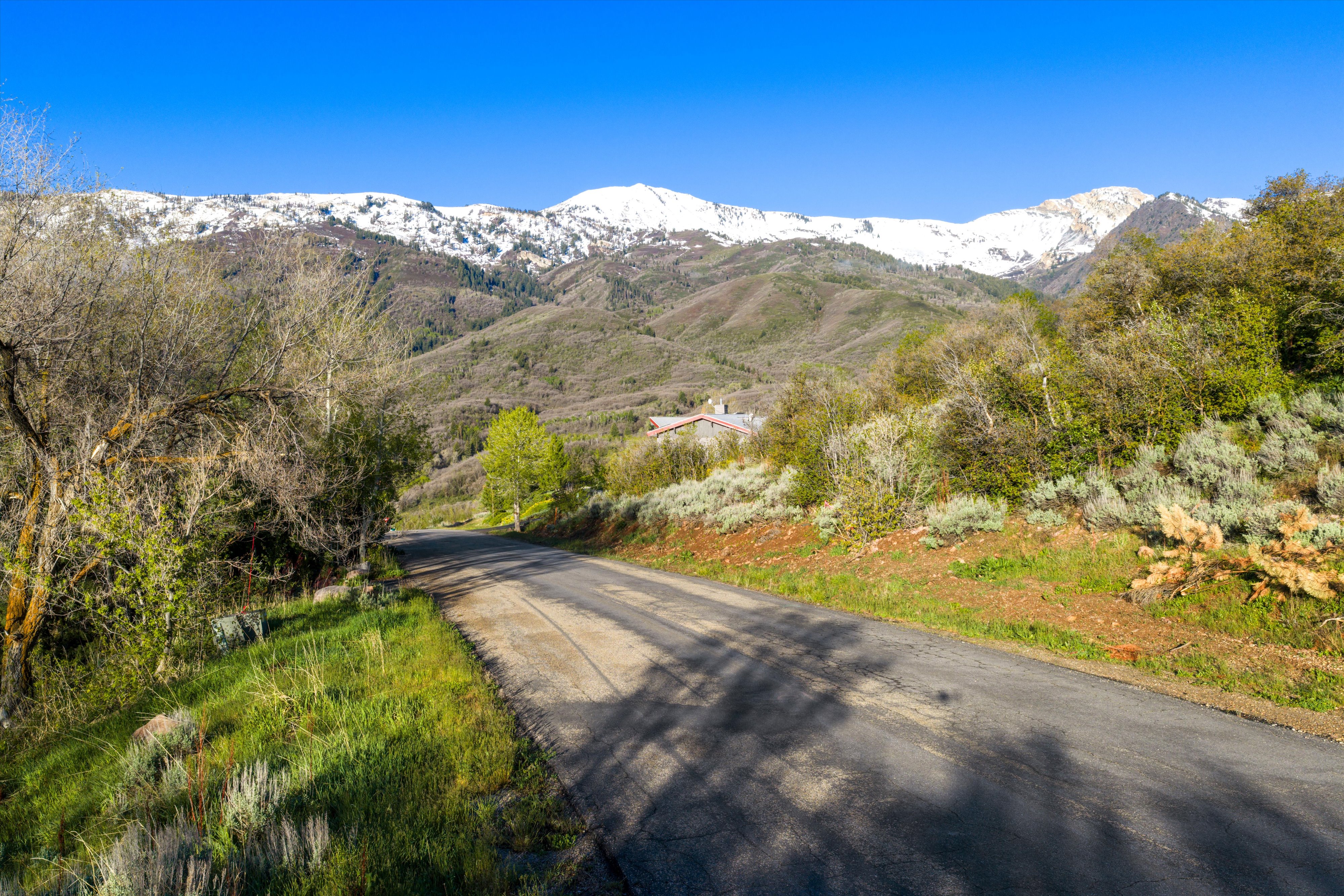 Paved road winding through a verdant landscape with diverse foliage, featuring distant snow-capped mountains and a structure nestled in the hillside