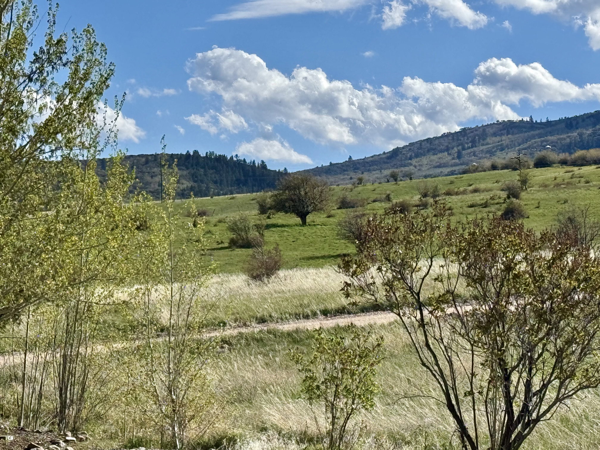 Property view to the west rolling green hills with scattered trees under a blue sky.