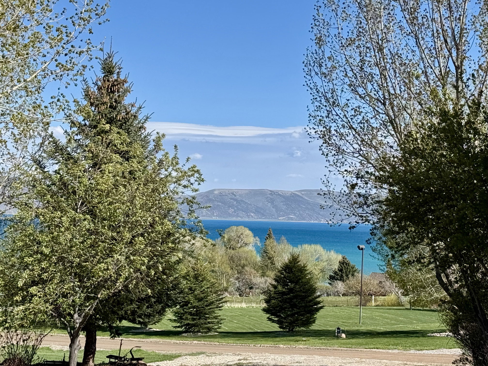 Lake View property featuring a manicured lawn, mature trees, and distant mountain ranges