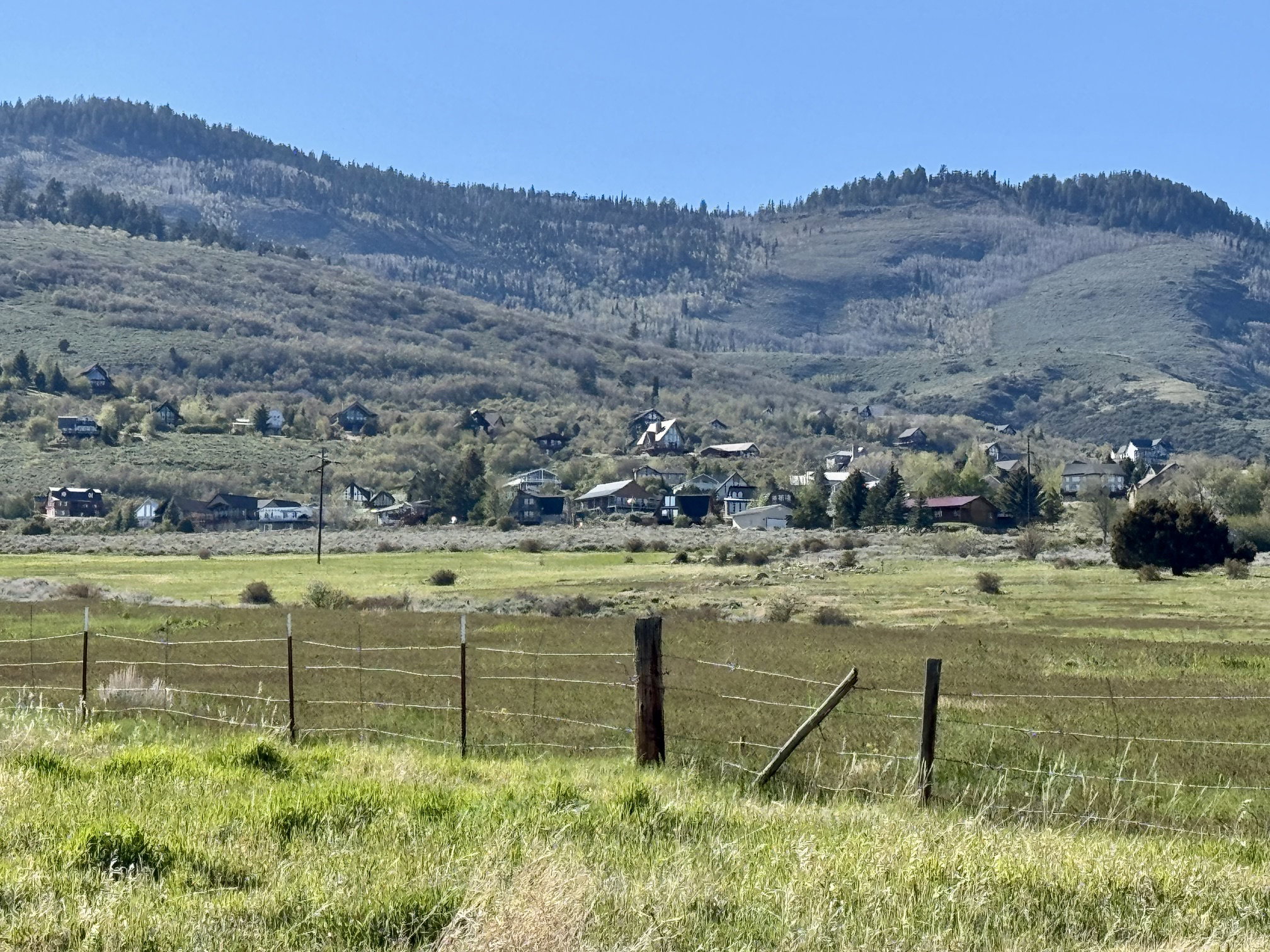 Property view to the west rolling green hills with scattered trees under a blue sky.