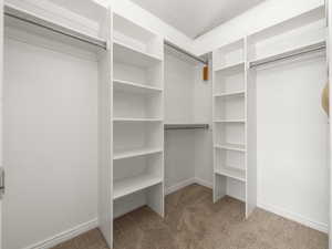 Walk-in closet featuring white built-in shelving, multiple hanging rods, and neutral carpet flooring
