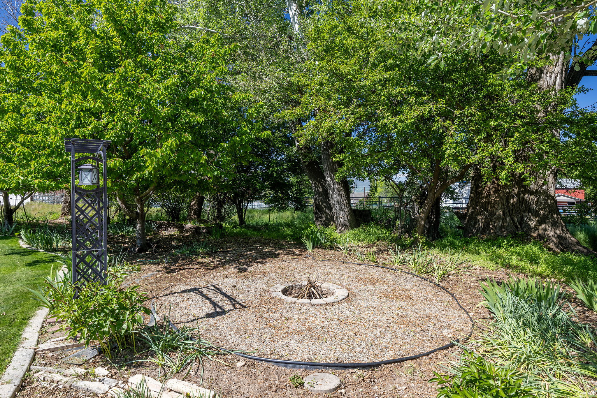 Outdoor fire pit area with gravel groundcover, surrounded by mature trees and lush green foliage
