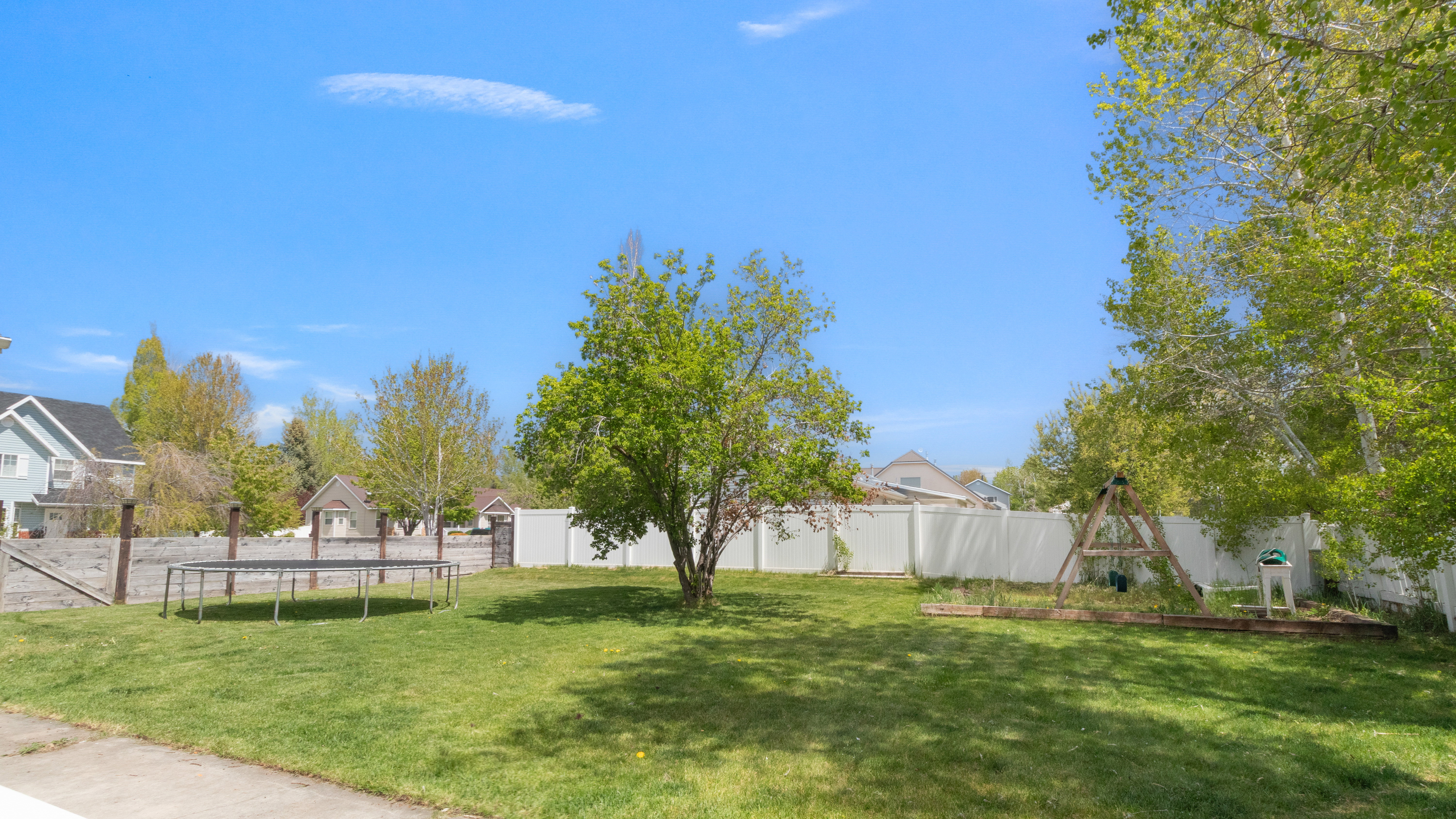 Expansive lawn area featuring a mature central tree