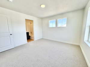 Light-filled room featuring neutral-toned carpeting, white walls, and a contemporary ceiling light fixture