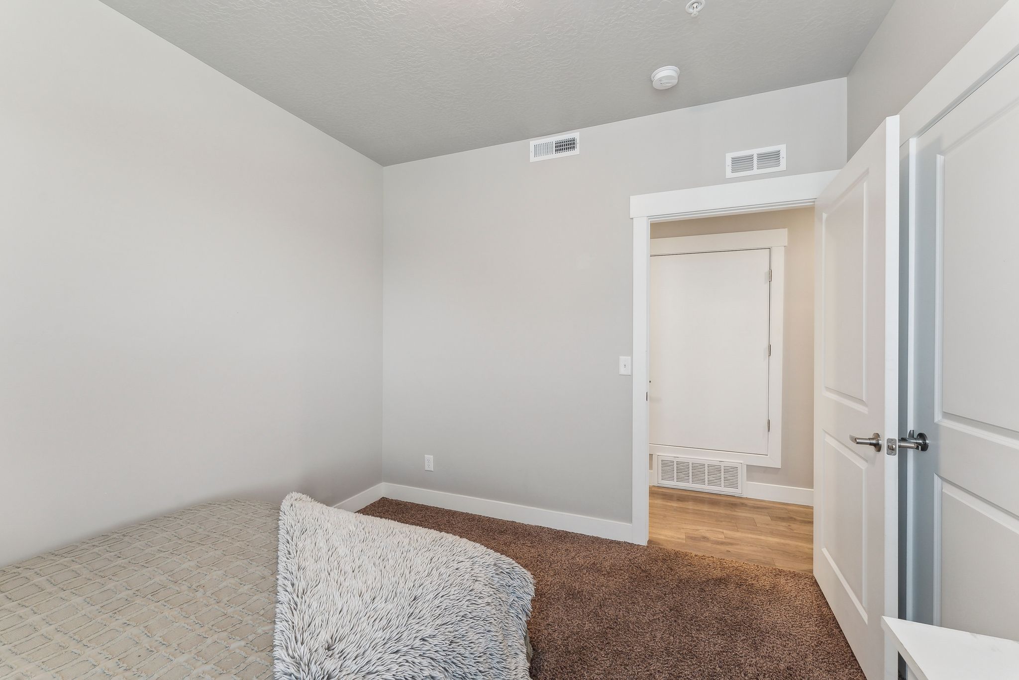 Carpeted room with light grey walls and white trim