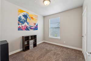 Neutral-toned wall paint with white trim, brown carpet flooring, and a single window with blinds