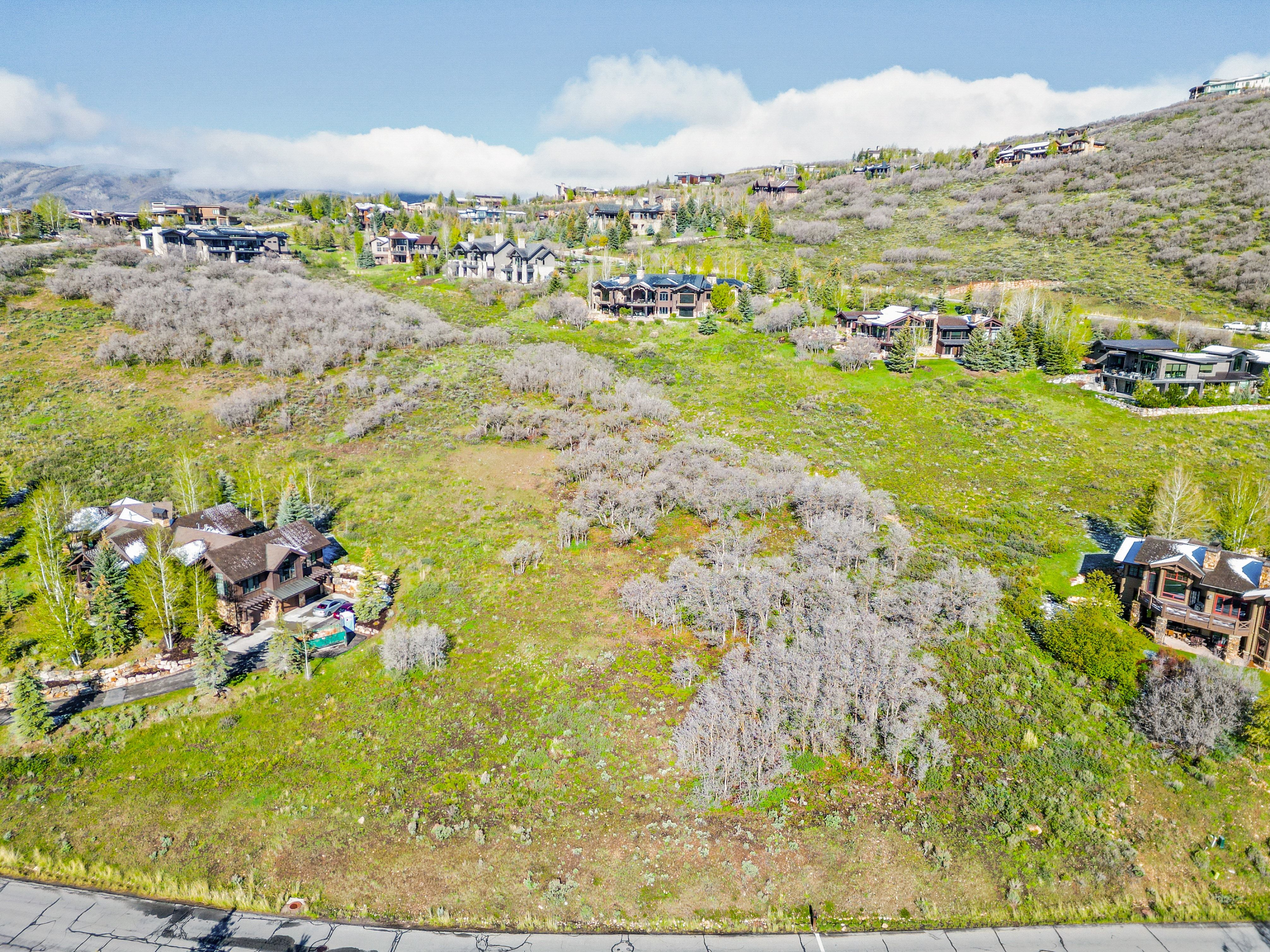 Expansive sloped property featuring a street-level perimeter, lush green ground cover, and natural tree groupings