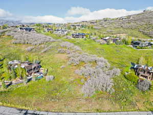 Expansive sloped property featuring a street-level perimeter, lush green ground cover, and natural tree groupings