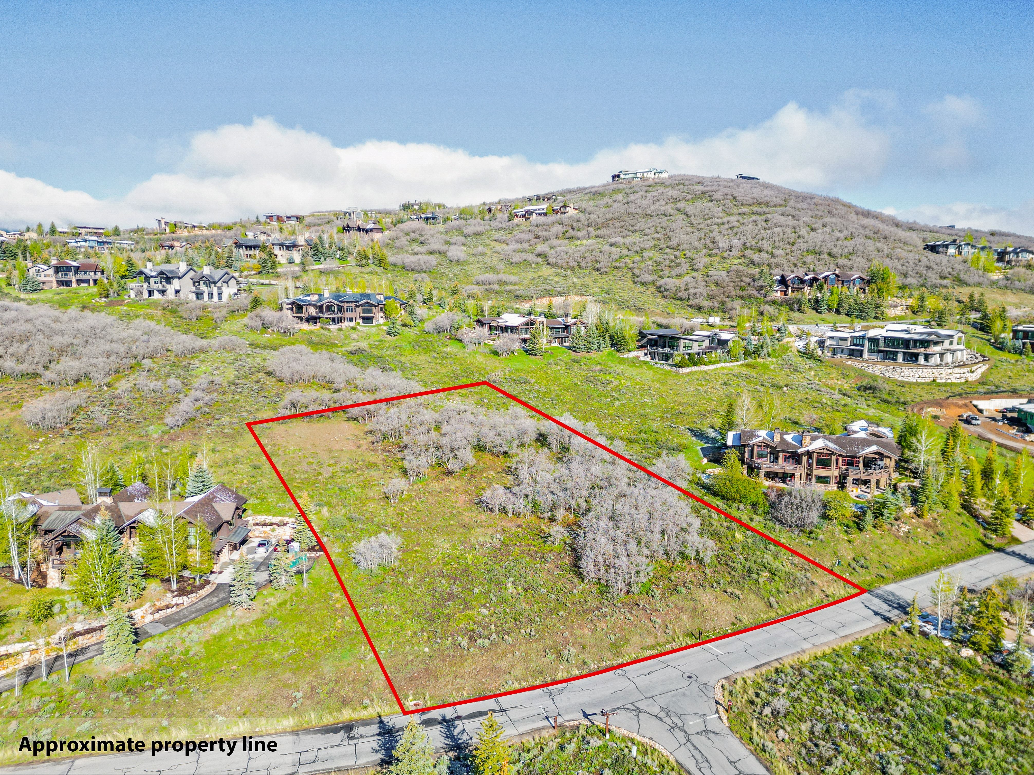 Expansive lot with varied terrain, featuring natural vegetation and an established roadway