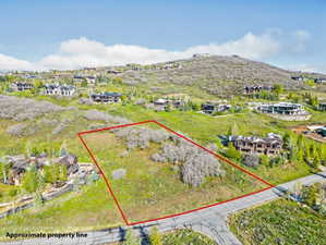 Expansive lot with varied terrain, featuring natural vegetation and an established roadway
