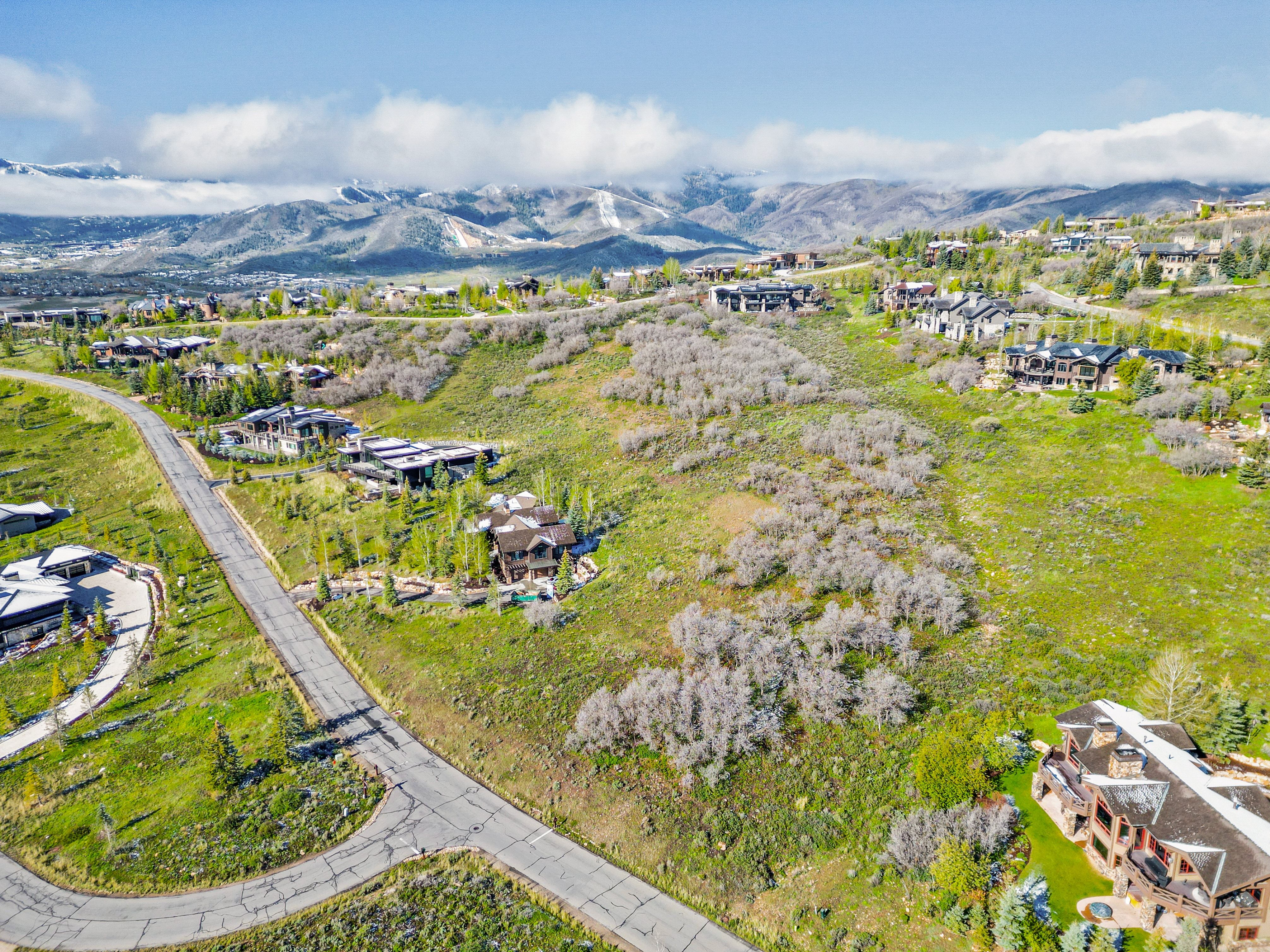 Expansive hillside property with verdant foliage and distant snow-capped mountains