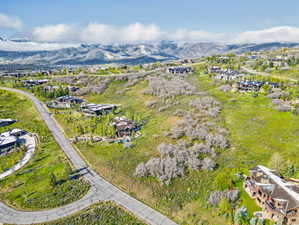 Expansive hillside property with verdant foliage and distant snow-capped mountains