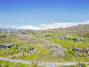 Expansive hillside property featuring residences nestled among mature trees and natural landscaping