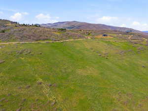 Expansive hillside property featuring a single-family residence, green ground cover, and surrounding deciduous trees