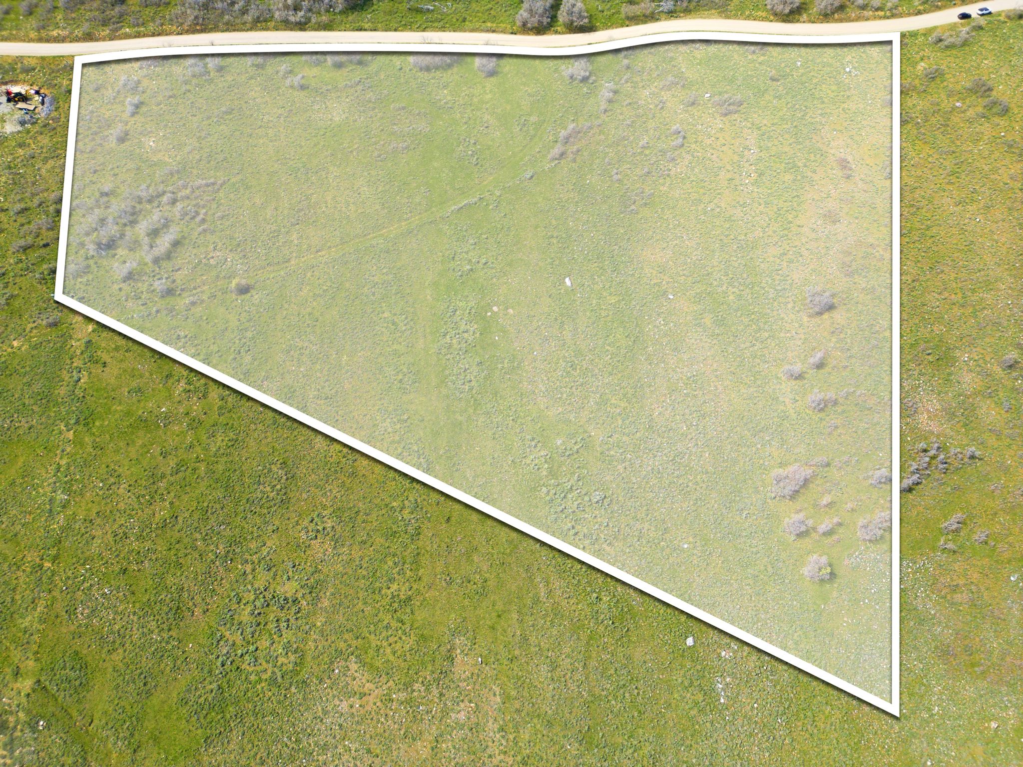 Expansive green lot featuring a distinct property boundary, varied ground cover, and a partial perimeter road