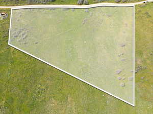 Expansive green lot featuring a distinct property boundary, varied ground cover, and a partial perimeter road