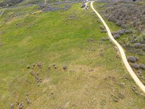 Expansive green landscape with a winding dirt road