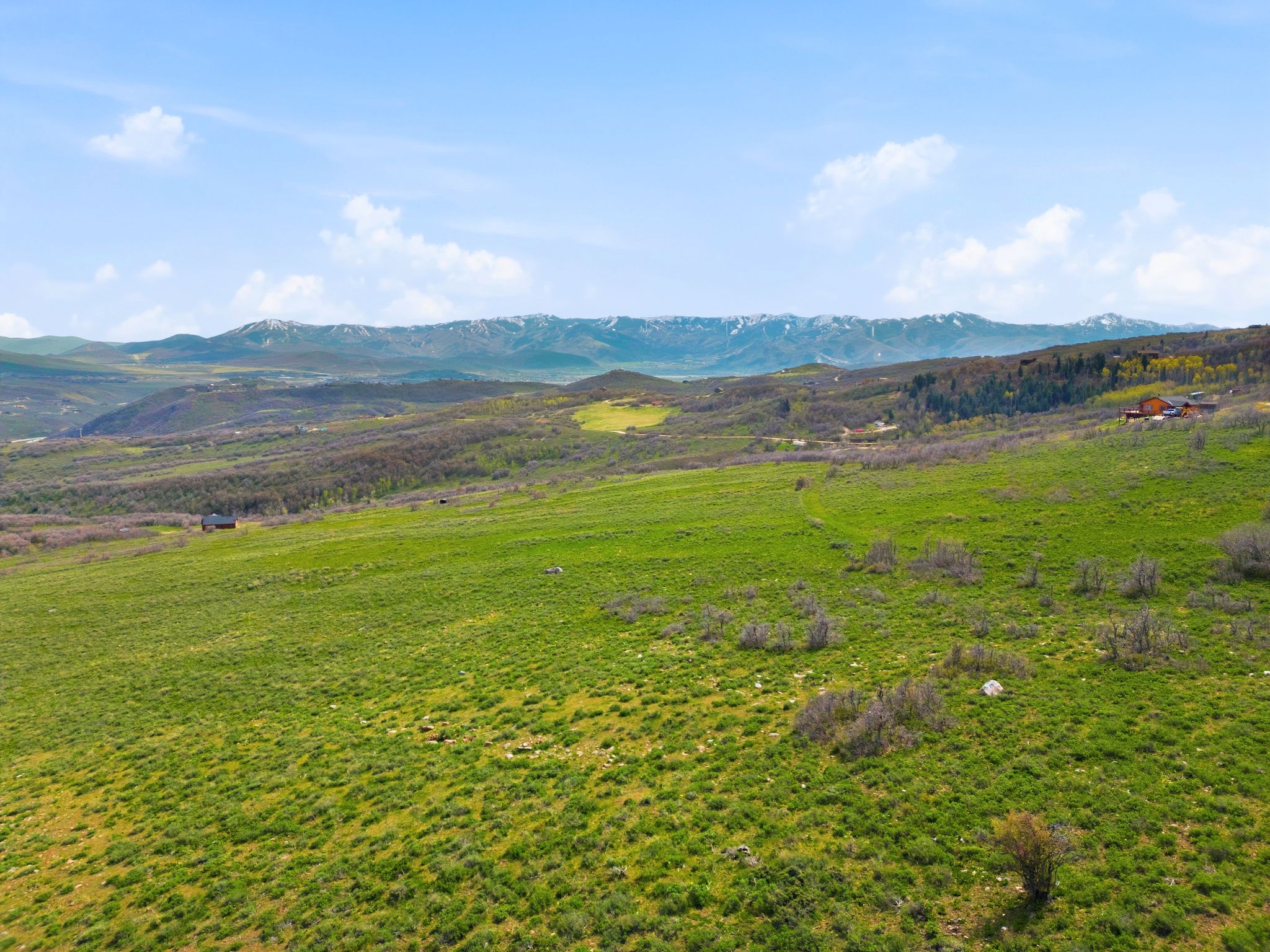 Expansive green landscape featuring rolling hills and distant snow-capped mountains