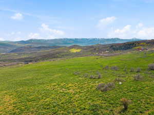 Expansive green landscape featuring rolling hills and distant snow-capped mountains