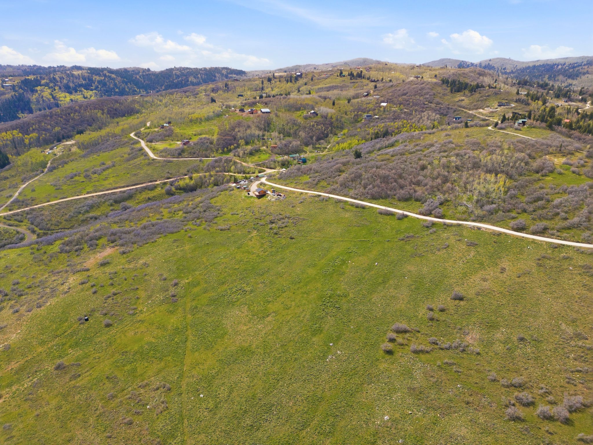 Expansive green hills with scattered brush and trees