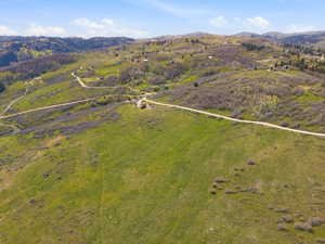 Expansive green hills with scattered brush and trees