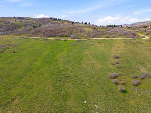 Expansive hillside property featuring a verdant landscape, a visible unpaved road, scattered low-lying shrubs, and distant structures on a neighboring hill
