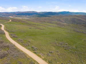 Expansive undeveloped land featuring a winding dirt road and natural vegetation