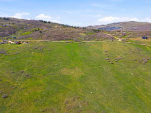Expansive green landscape featuring varied terrain and a partial dirt road