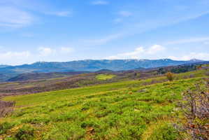 Expansive green hillside with distant snow-capped mountains under a clear blue sky