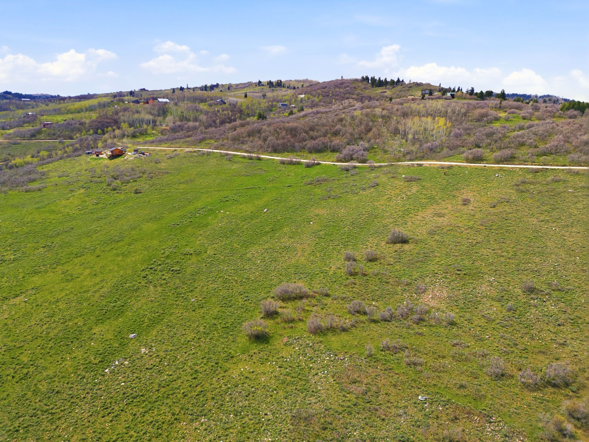 Expansive green hillside property with scattered natural brush and a visible dirt road