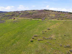 Expansive green hillside property with scattered natural brush and a visible dirt road