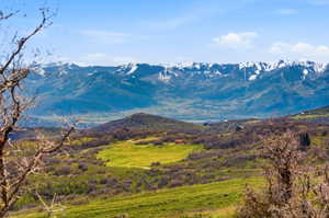 Expansive landscape featuring distant snow-capped mountains, rolling green hills, and sparse low-lying vegetation