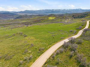 Expansive green landscape featuring a winding dirt road, distant snow-capped mountains, and scattered brush