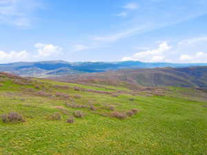Expansive green terrain with scattered brush, rolling hills, and a mountainous backdrop