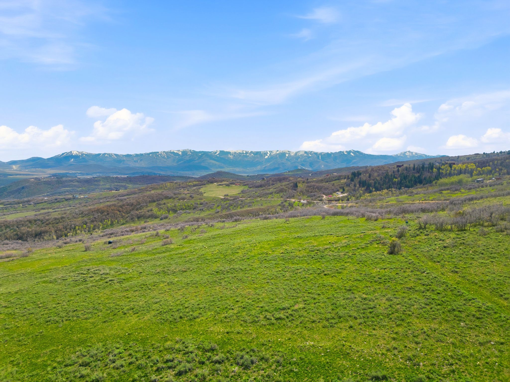 Expansive verdant landscape featuring gently rolling hills and distant snow-capped mountains