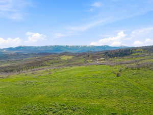 Expansive verdant landscape featuring gently rolling hills and distant snow-capped mountains