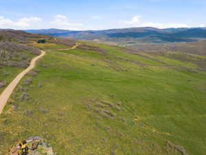 Expansive green hillside property with a winding unpaved road