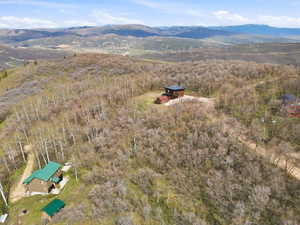 Elevated aerial perspective showcasing a property surrounded by mature deciduous trees and distant mountains under a blue sky