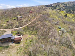 Expansive wooded property featuring multiple structures and a mountain backdrop