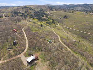 Expansive mountain landscape featuring varied topography, scattered evergreen trees, and broad-leafed deciduous trees