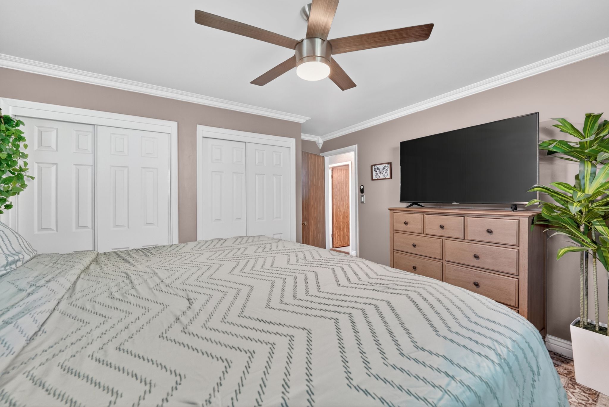 Bedroom featuring a ceiling fan with light fixture, crown molding, and two sets of bi-fold closet doors