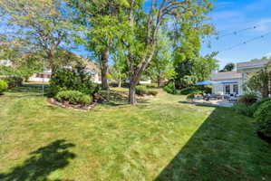 Expansive green lawn with mature trees providing natural shading