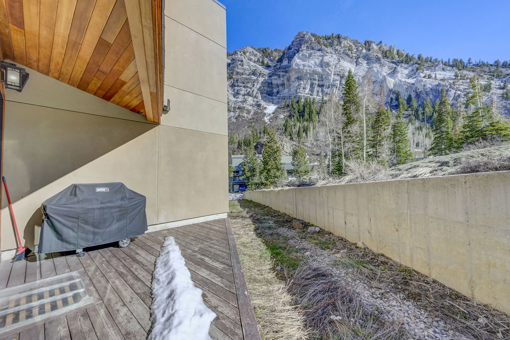 Mountain backdrop featuring evergreens and deciduous trees
