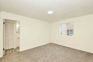 Neutral wall paint, gray carpet flooring, and a single window with white trim