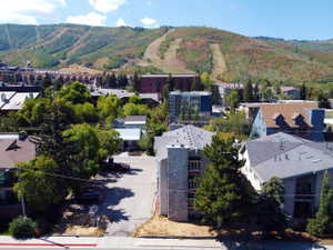 Mountainous backdrop with varied tree coverage