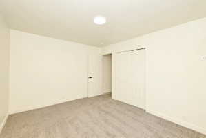 Room featuring light cream walls and plush gray carpeting
