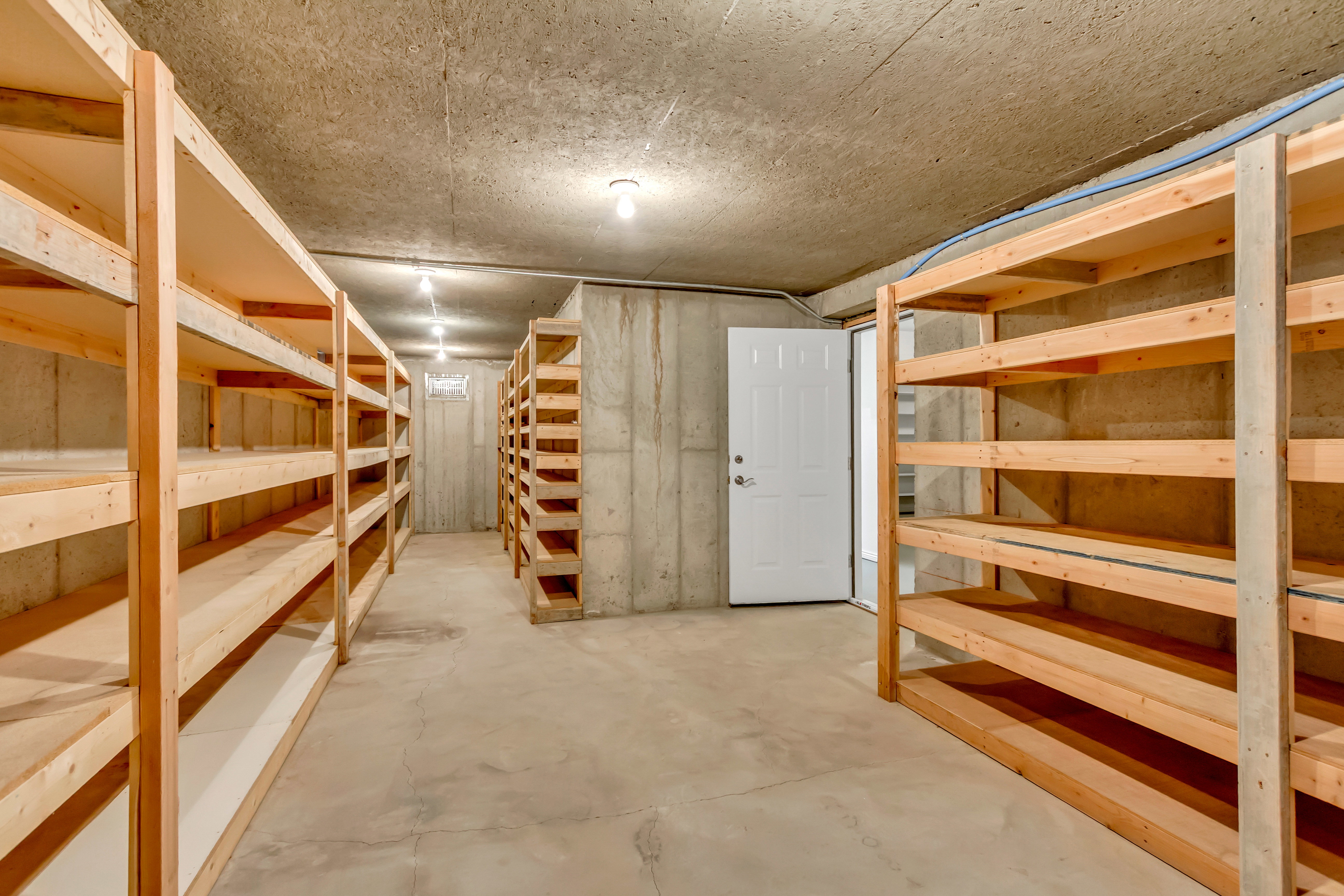 Expansive storage area featuring concrete flooring, concrete walls, a plywood ceiling, and extensive wood shelving units