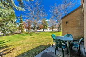 Rear patio area and grassy common space