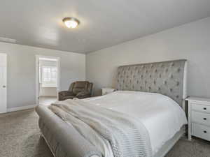 Carpeted room with light gray walls and a ceiling-mounted light fixture