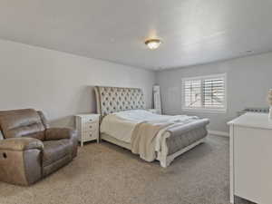 Wall-to-wall carpeted bedroom featuring a window with white plantation shutters, a ceiling-mounted light fixture, and light-toned walls